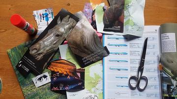 Magazines and other printed materials from around the house were culled for use in the collage.