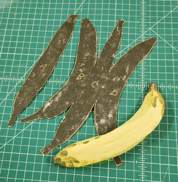 clay banana and the pattern it was made from